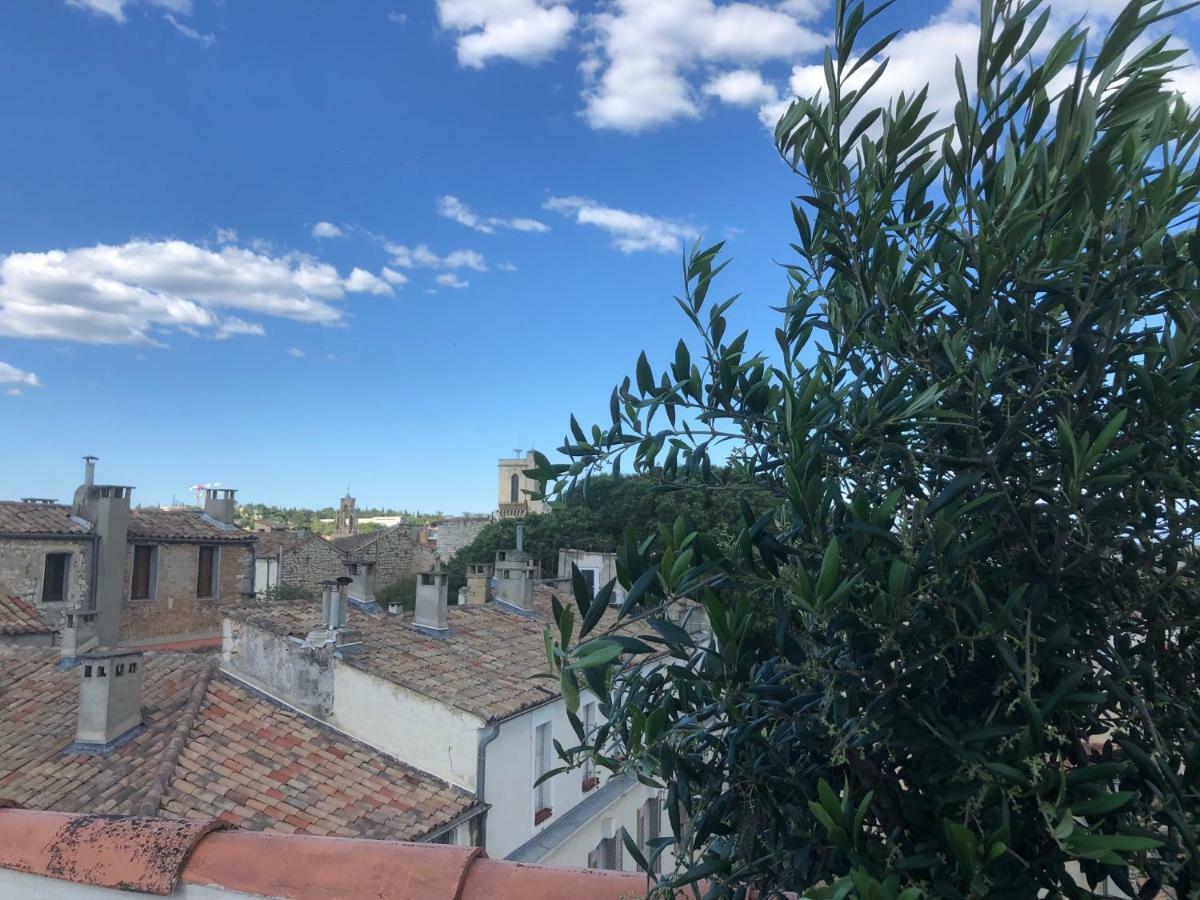 Appartement Avec Terrasse Panoramique Au Coeur De Nimes Exterior foto